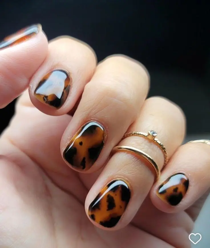 short rounded square nails classic tortoiseshell amber and dark brown pattern with thin gold cuticle border photo 2