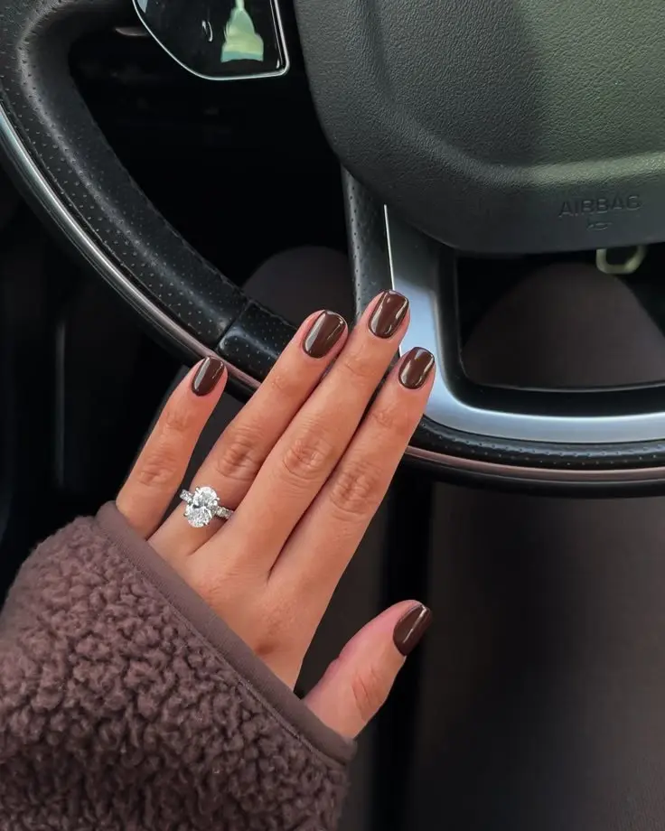 short round nails dark chocolate brown gel single color high gloss flawless finish photo 17