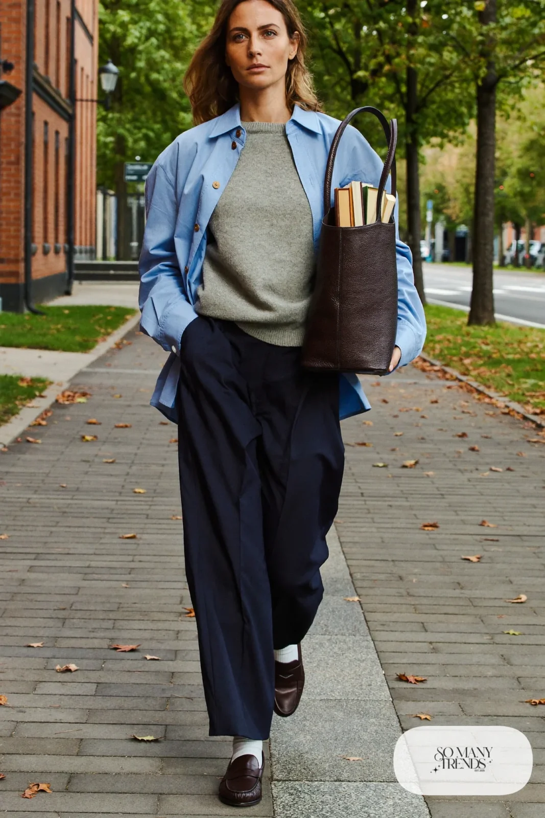 blue oxford shirt grey sweater pleated trousers loafers socks outfit 23