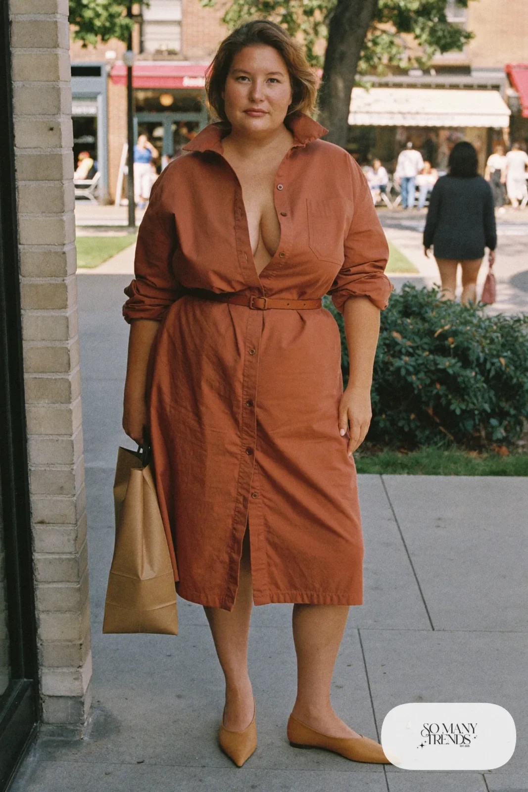 rust cotton twill midi shirt dress, tonal belt, pointed flats outfit 8