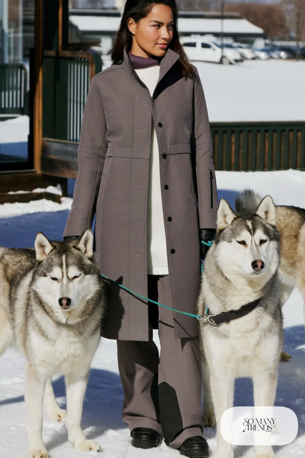 Dove gray insulated windproof jacket with waterproof pants, gloves and goggles for husky sledding, outfit 7